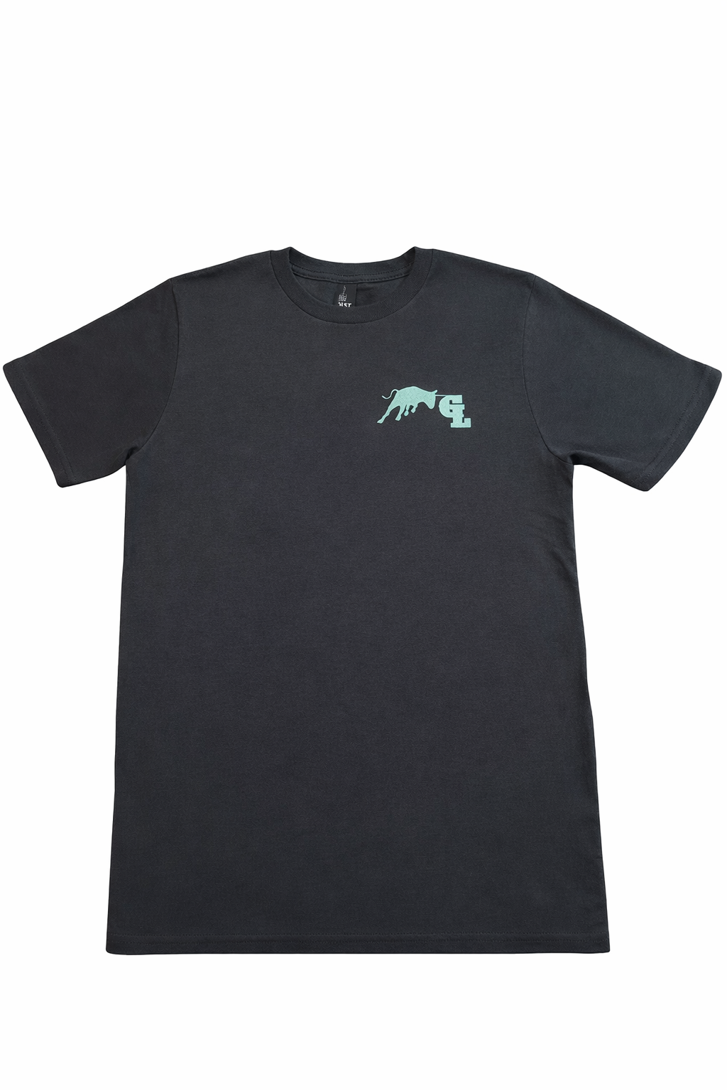 Dark Grey and Teal Tee